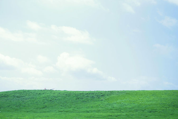 Scenic view of field against sky