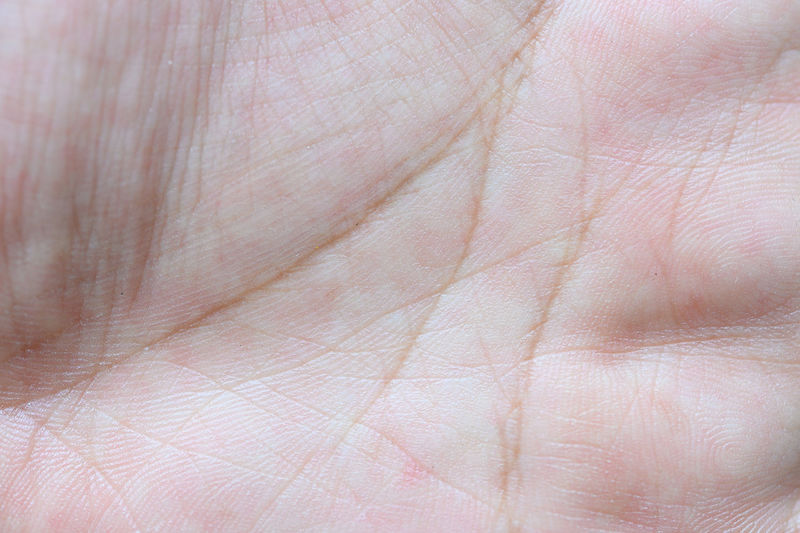 Full frame shot of person hand