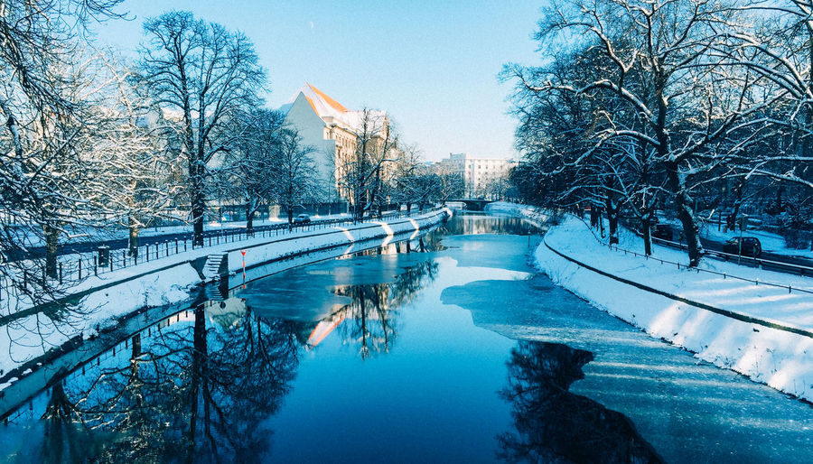 Reflection of trees in water