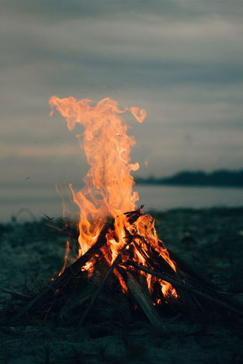 Bonfire on wooden log at beach