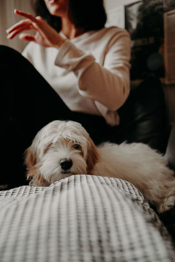 Man with dog relaxing at home