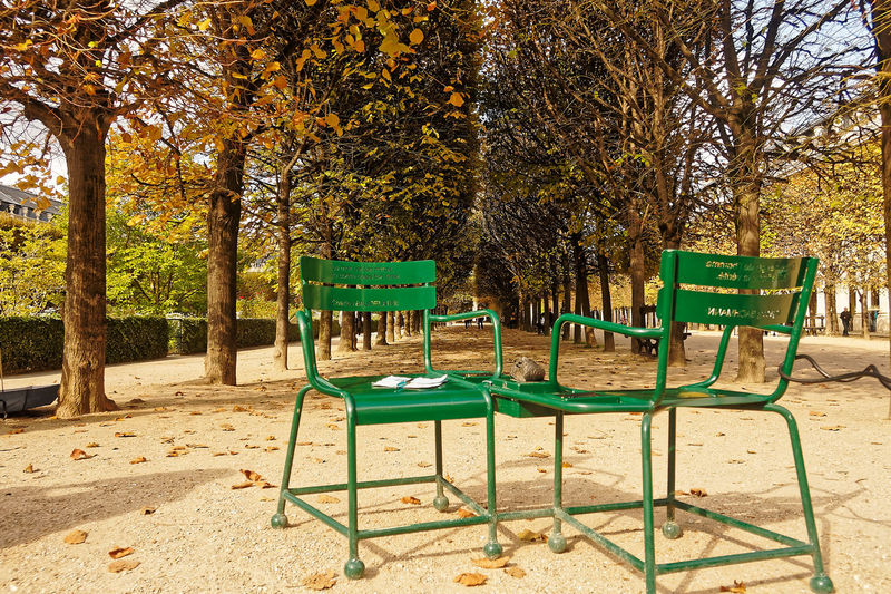 Chairs and trees in park during autumn