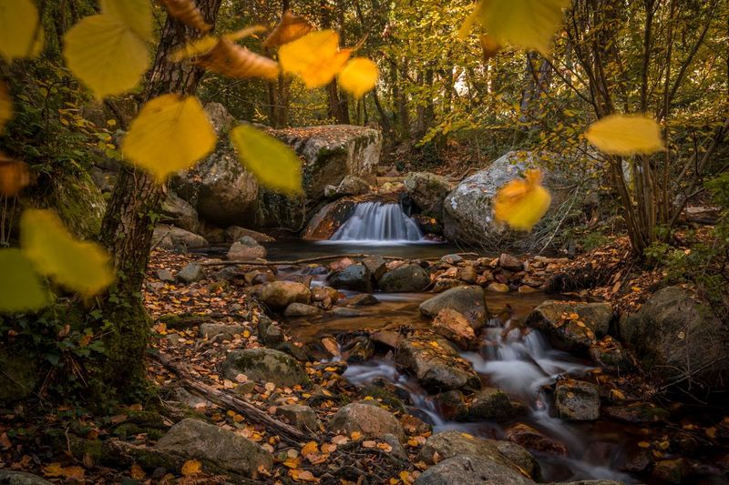 Stream among rocks in forest during autumn in montseny
