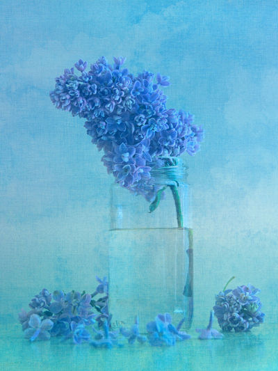 Close-up of flower vase against blue background