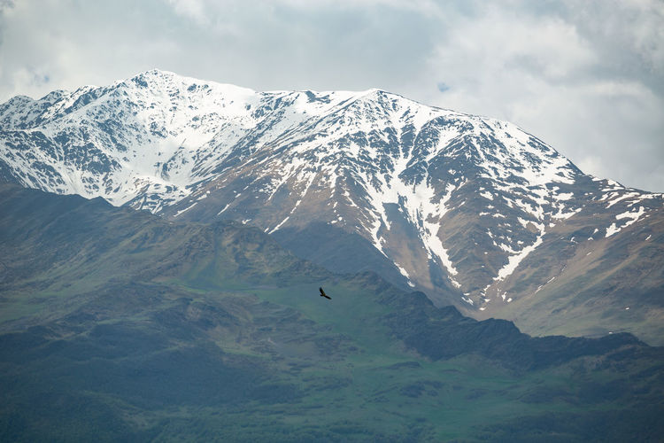 Mountains in the caucasus in chechnya