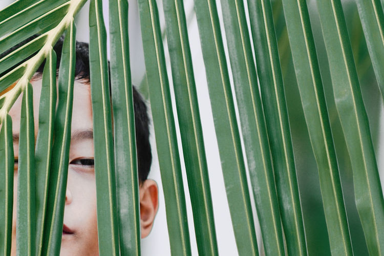Asian Boy Beauty In Nature Close-up Green Color Growth Leaf Nature One Eye Outdoors Palm Tree
