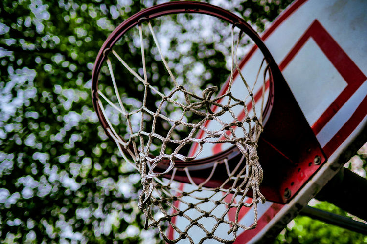 Low angle view of basketball hoop against trees