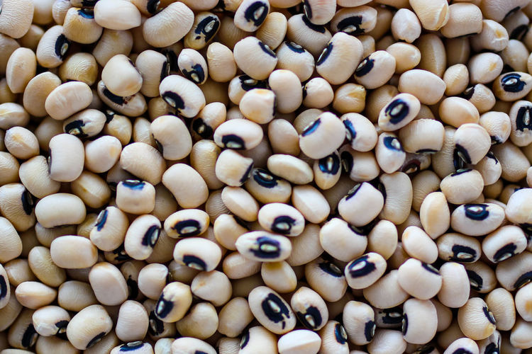 Close-up view dried white beans