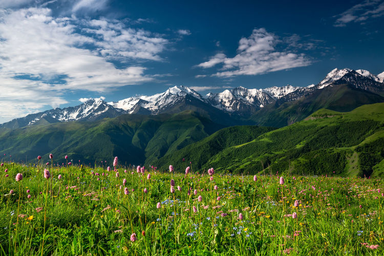 Scenic view of snowcapped mountains against sky