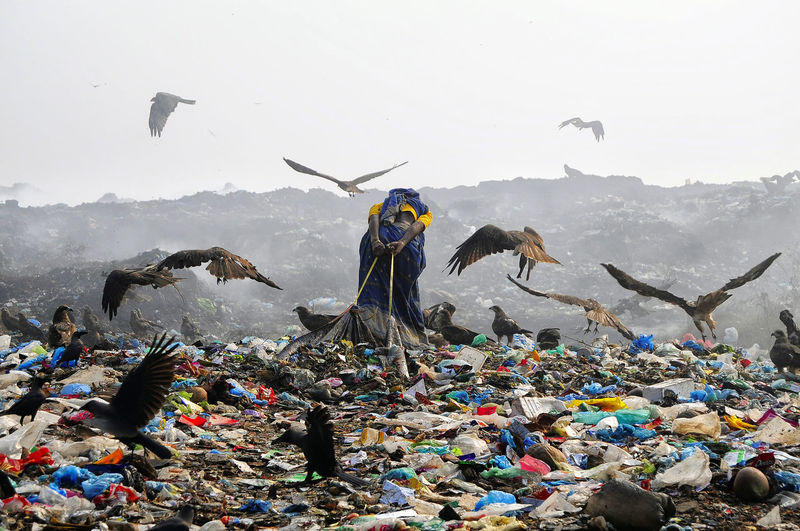 Woman pulling garbage by birds at junkyard