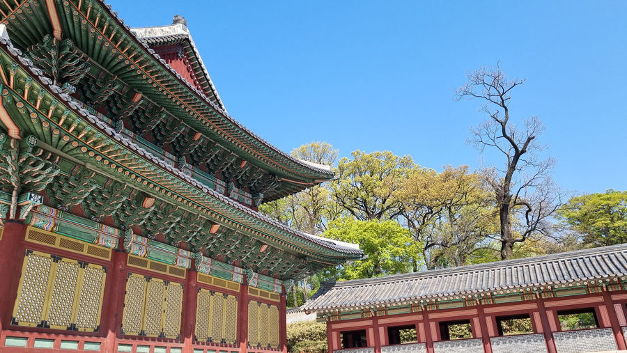architecture