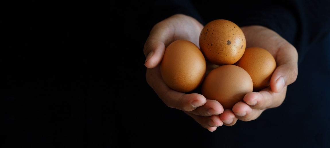 Close-up of hand holding eggs against black background