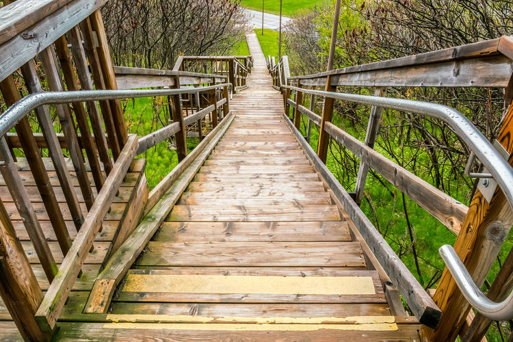 Empty footbridge amidst trees