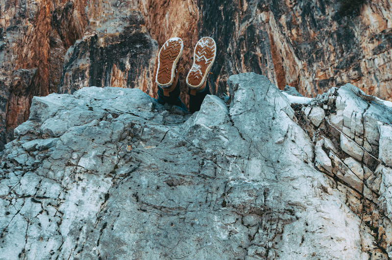 Close-up of rock formation on tree trunk