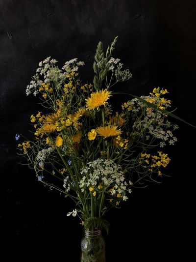 Close-up of flower vase against black background