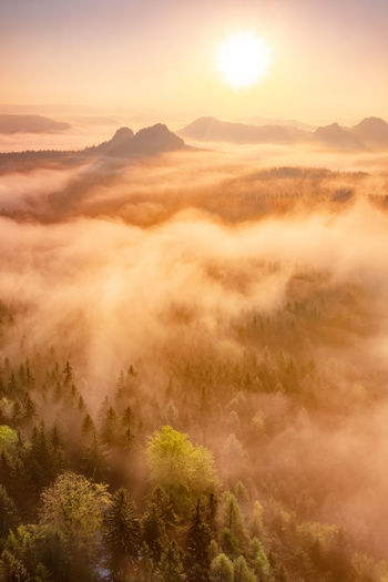 Misty morning in saxon switzerland national park. colorful spring sunrise. artistic post processed