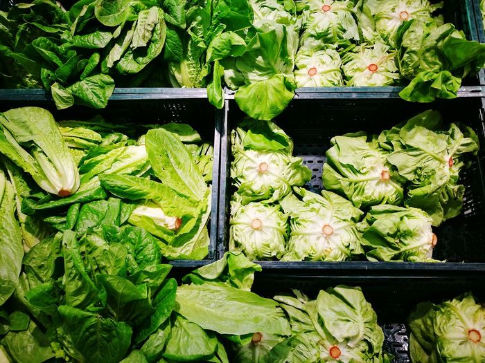 High angle view of chinese cabbage for sale in market