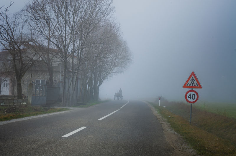 Road sign by bare trees during foggy weather