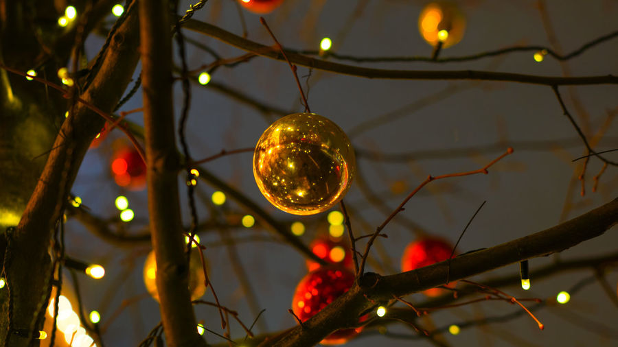 Low angle view of illuminated christmas lights hanging on tree
