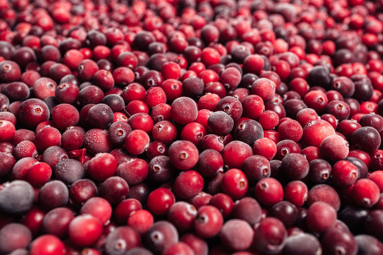 Red background made from cranberries. close up view