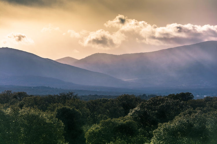 Scenic view of tree mountains against sky
