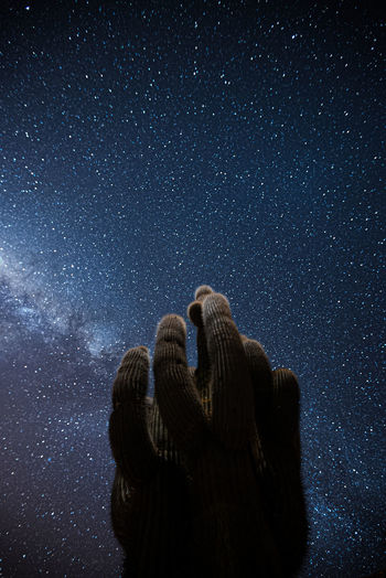 Low angle view of cactus against star field at night