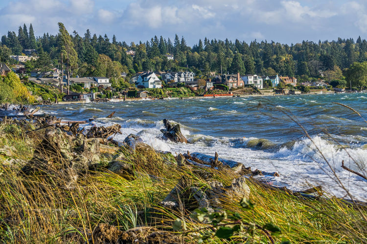 Waves roll toward shore on a windy day at normandy park, washington.