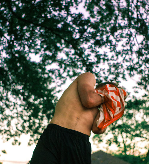 Low angle view of human hand against tree