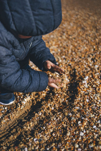 Low section of child playing on seashells