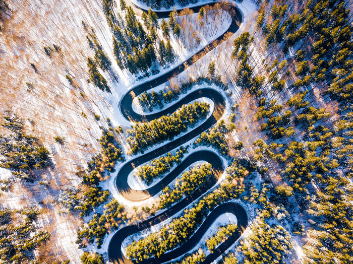Aerial view of winding road amidst tress