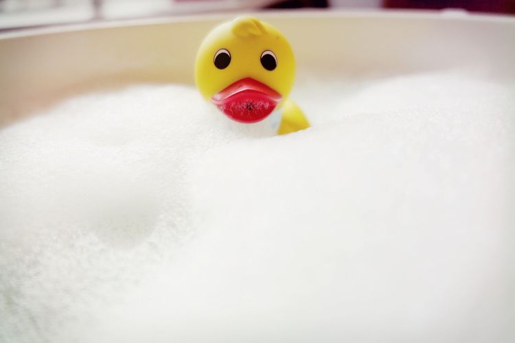 Close-up of rubber duck floating in bathtub