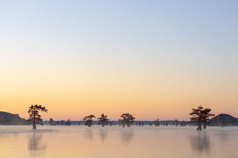 Scenic view of trees in lake against sky during dusk