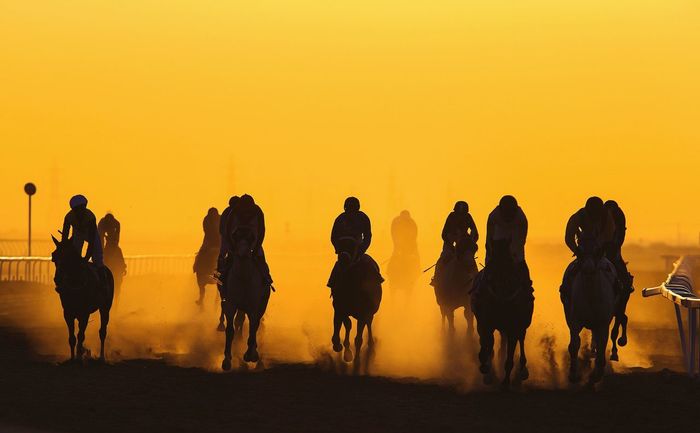 Horse racing against clear orange sky