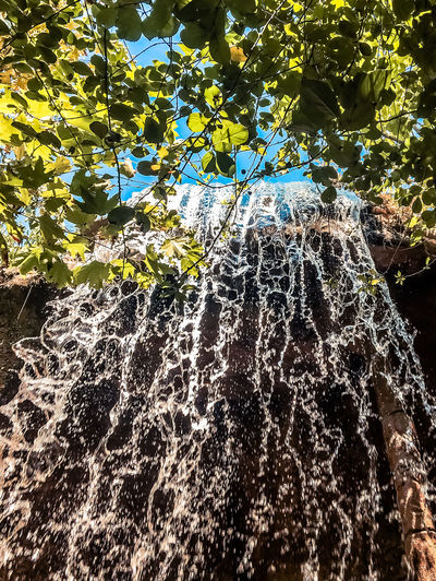 Low angle view of waterfall against trees