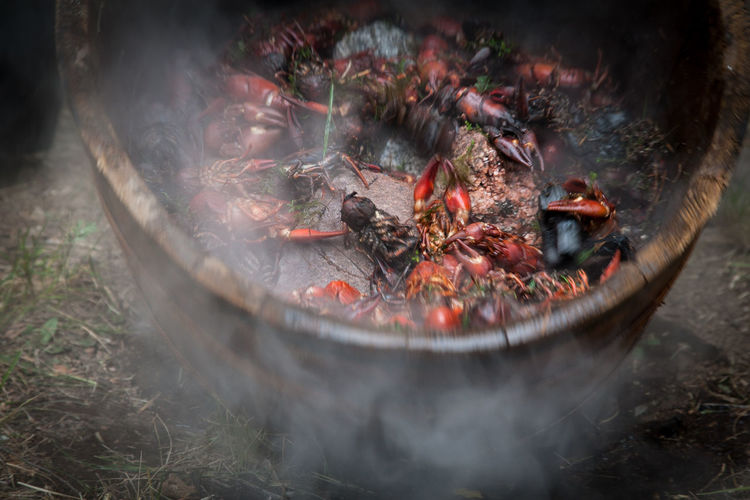 Crayfish boiling