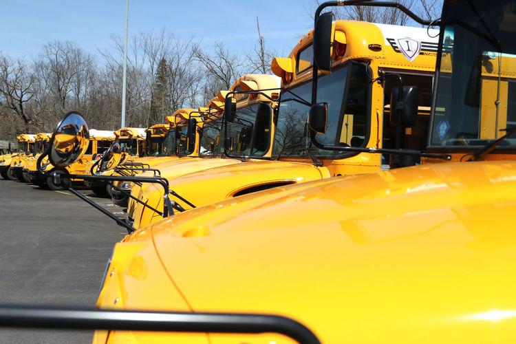 School buses parked on road
