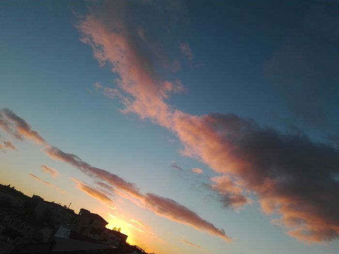 Low angle view of silhouette trees against sky