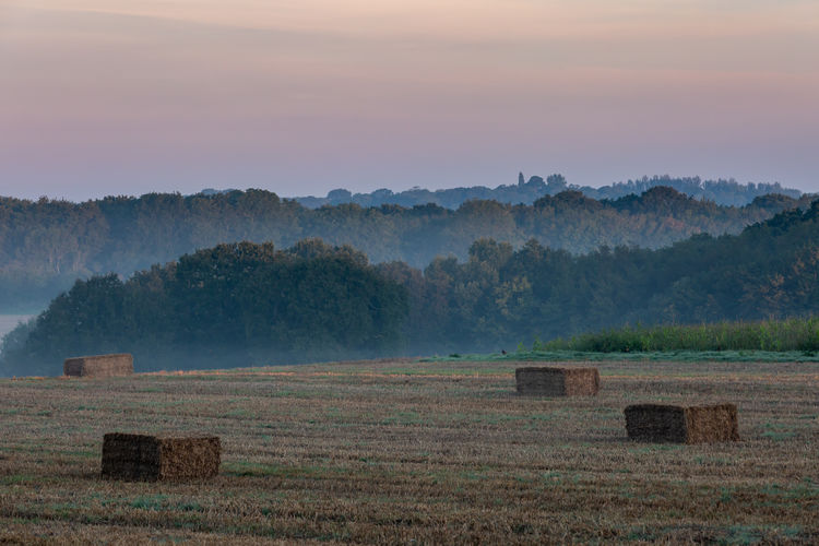 Looking out over a rural sussex landscape with early morning mist in september