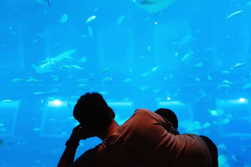 Rear view of man sitting in aquarium