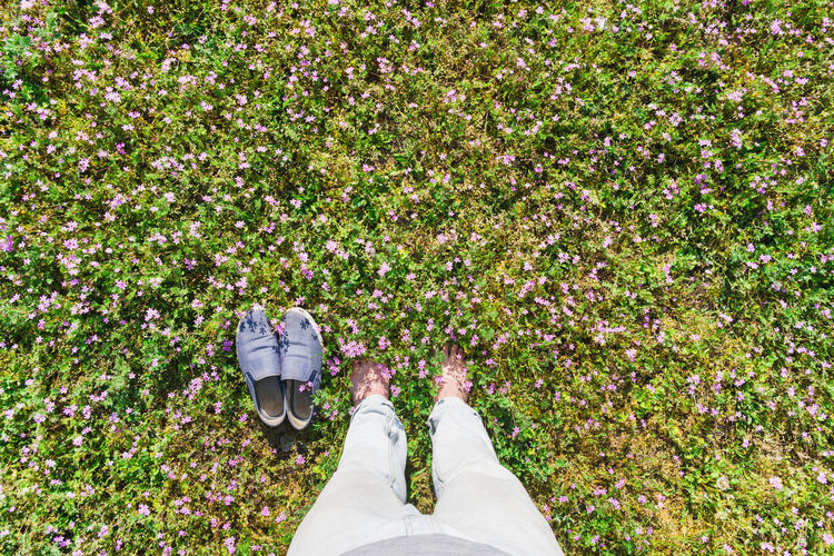 Low section of person standing by flowers