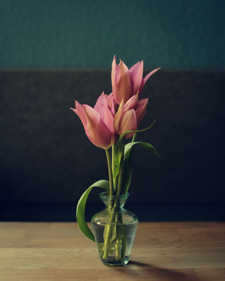 Close-up of pink flower in vase on table