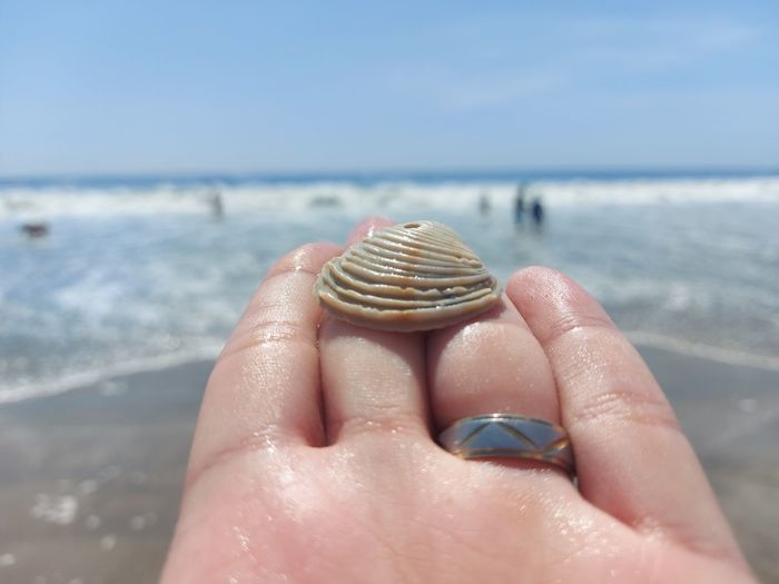 Shell in a hand