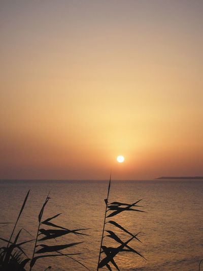 Scenic view of sea at sunset