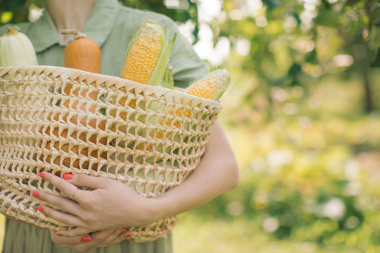 Close-up of woman holding vegetables in basket