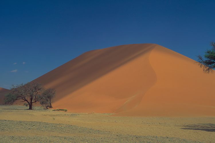 Scenic view of desert against sky