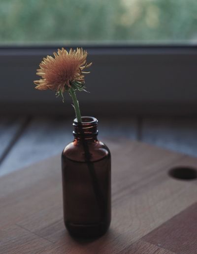 Close-up of flower vase on table