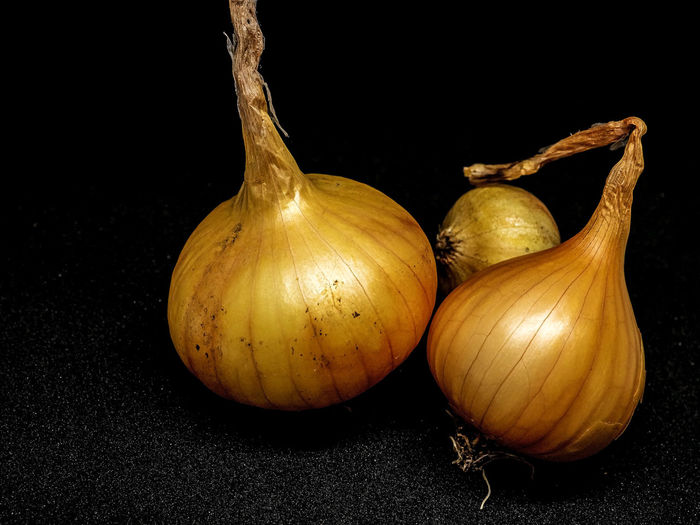Close-up of an onion on a black background