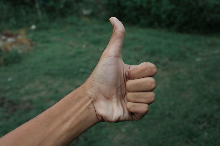 Cropped image of person showing thumbs up