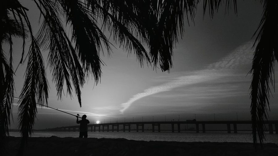 Silhouette woman fishing in sea against sky during sunset
