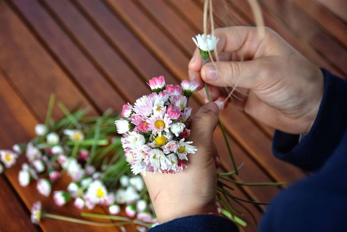 Cropped image of person holding flowers